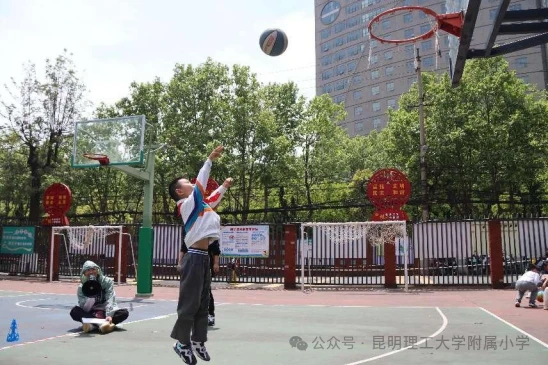 篮球训练新闻稿_1